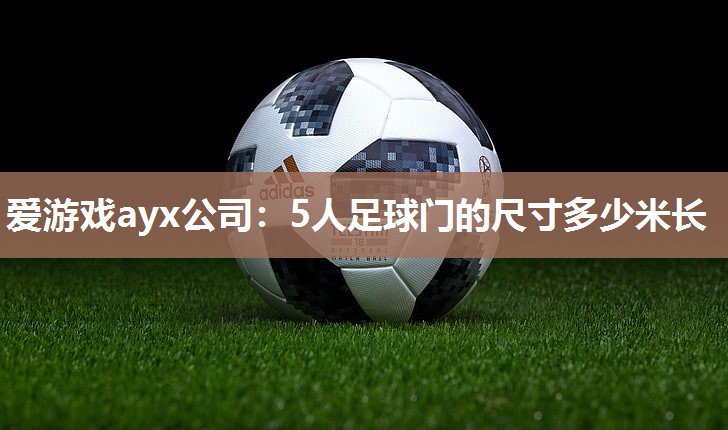 爱游戏ayx公司：5人足球门的尺寸多少米长