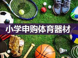 小学申购体育器材