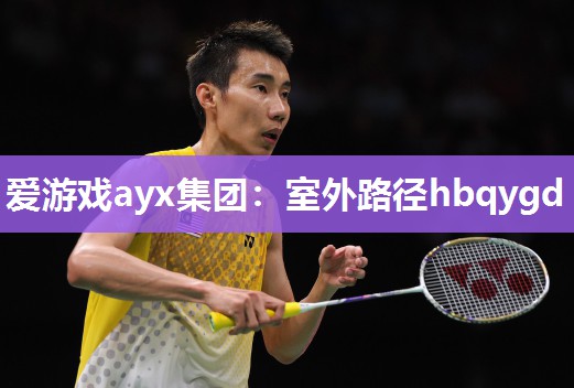 爱游戏ayx集团：室外路径hbqygd