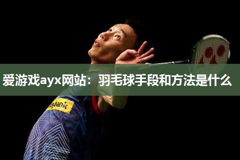 爱游戏ayx网站：羽毛球手段和方法是什么