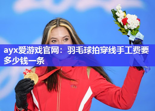 ayx爱游戏官网：羽毛球拍穿线手工费要多少钱一条