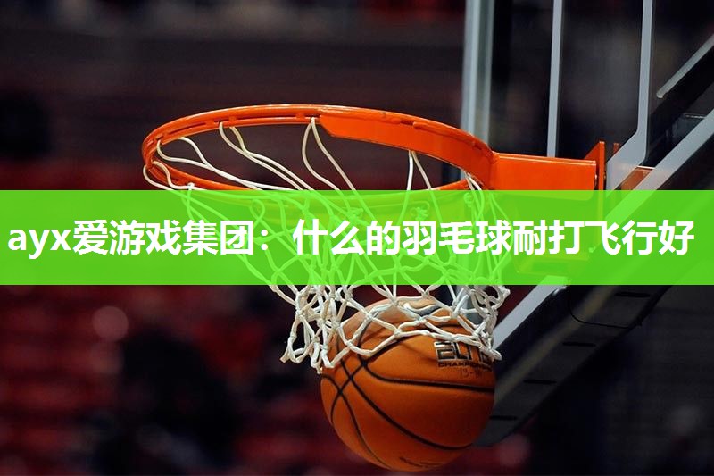 ayx爱游戏集团：什么的羽毛球耐打飞行好