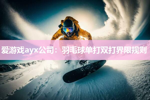 爱游戏ayx公司：羽毛球单打双打界限规则
