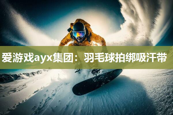 爱游戏ayx集团：羽毛球拍绑吸汗带