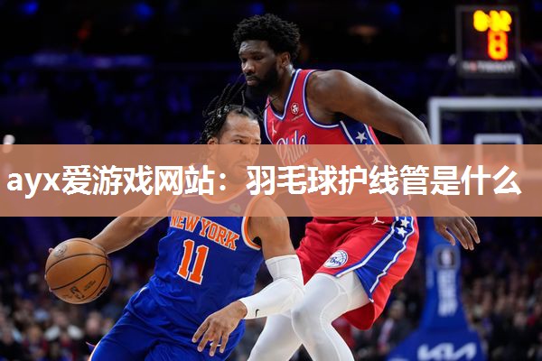 ayx爱游戏网站：羽毛球护线管是什么