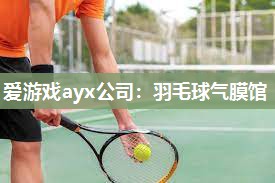 爱游戏ayx公司：羽毛球气膜馆