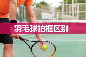 羽毛球拍框区别