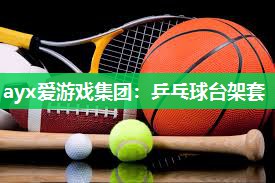 乒乓球台架套