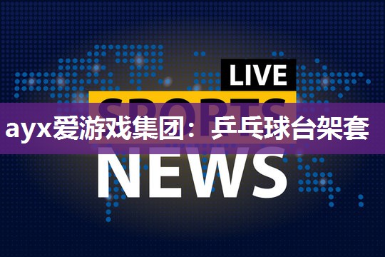 乒乓球台架套