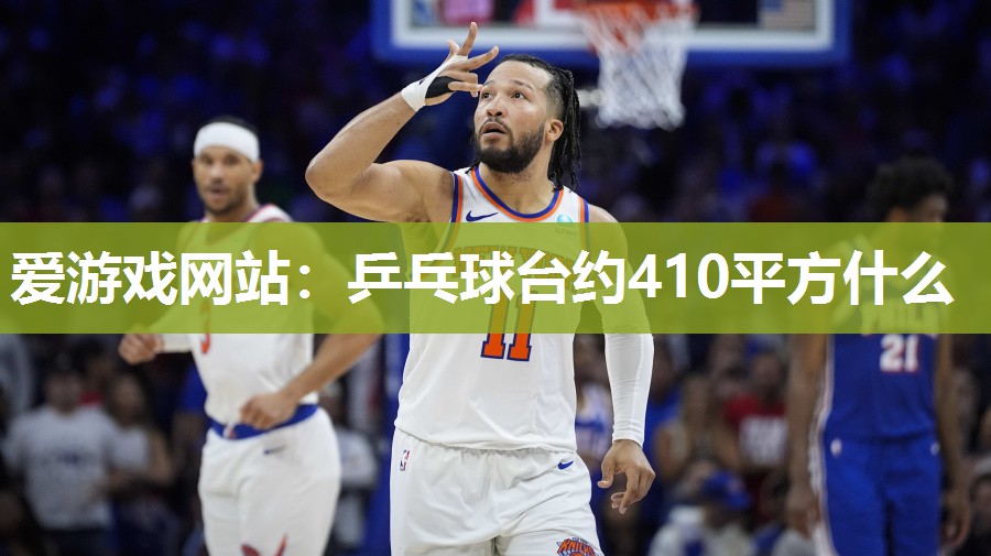 乒乓球台约410平方什么
