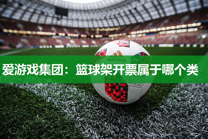 篮球架开票属于哪个类