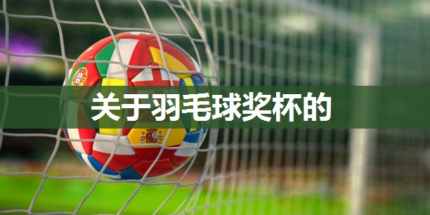 关于羽毛球奖杯的