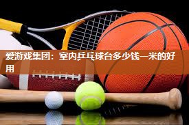 室内乒乓球台多少钱一米的好用