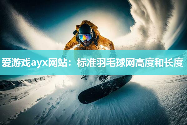 标准羽毛球网高度和长度