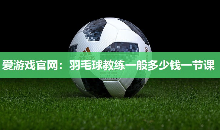羽毛球教练一般多少钱一节课