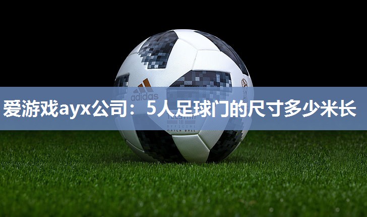 5人足球门的尺寸多少米长