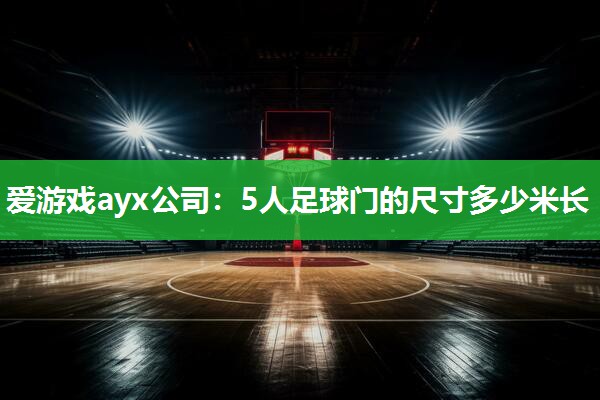 5人足球门的尺寸多少米长