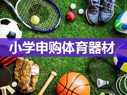 小学申购体育器材