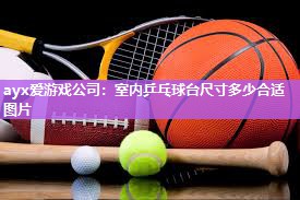 室内乒乓球台尺寸多少合适图片