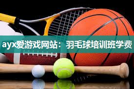 羽毛球培训班学费