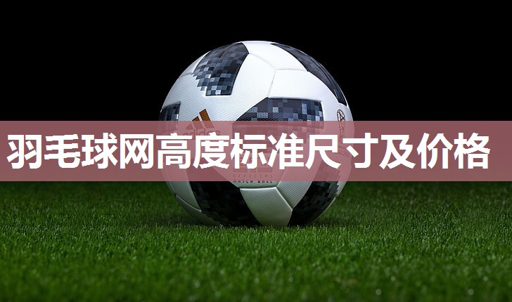 羽毛球网高度标准尺寸及价格