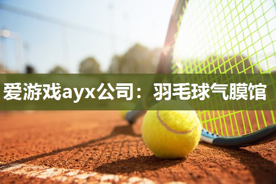 羽毛球气膜馆
