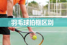 羽毛球拍框区别
