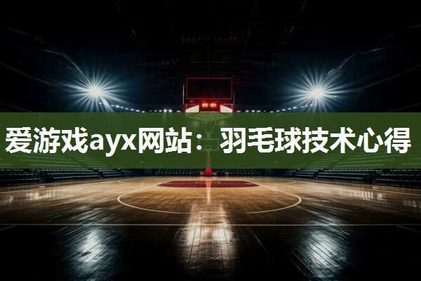 羽毛球技术心得
